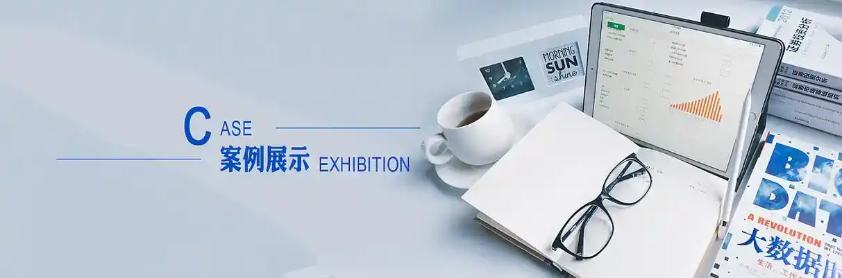 西山区软件开发